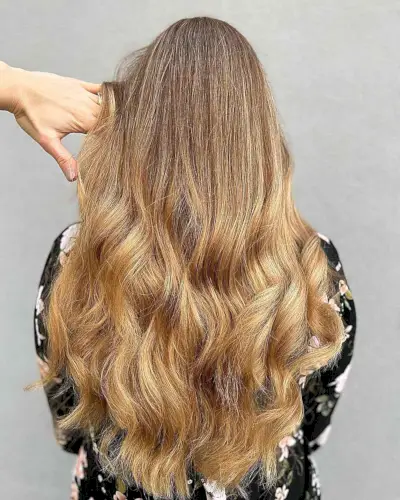 Warm Honey Blonde Balayage Sombre for Long Layered Hair