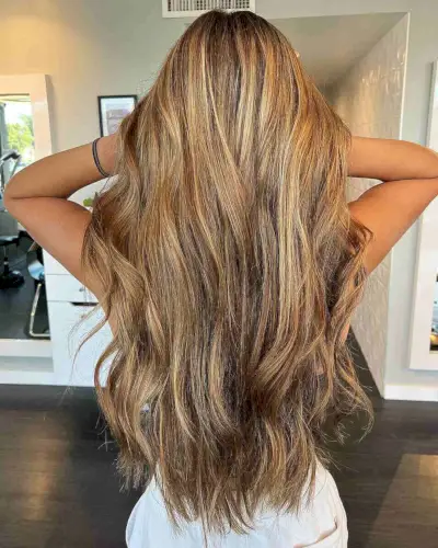 Darker Honey Blonde Balayage on Beautiful Long Hair