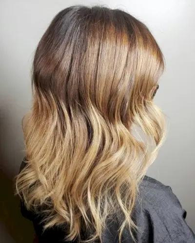 Rich Chestnut Brown to Light Honey Blonde Ombre