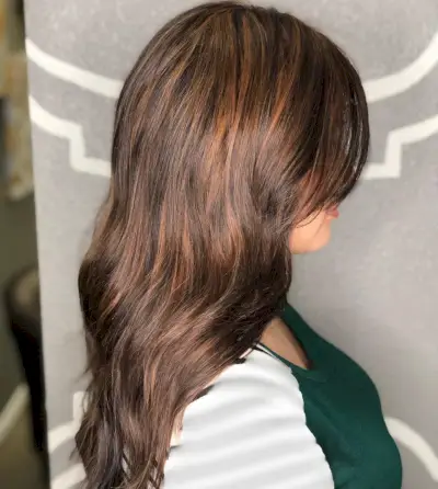 Dark Auburn Highlights
