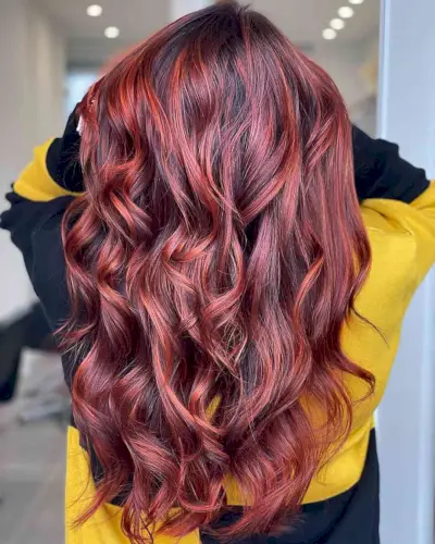 dark red highlights on dark hair