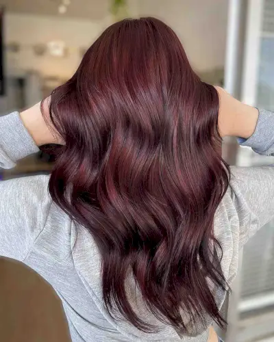 rich dark red hair color