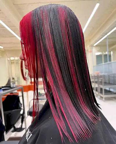 Red Skunk Stripes on Shoulder-Length Jet Black Hair