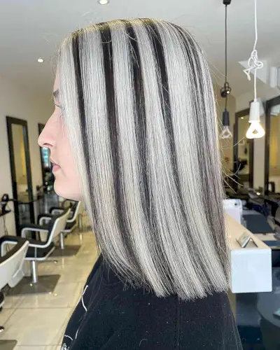 Black and White Skunk Stripes for Shoulder-Length Skunk Hair