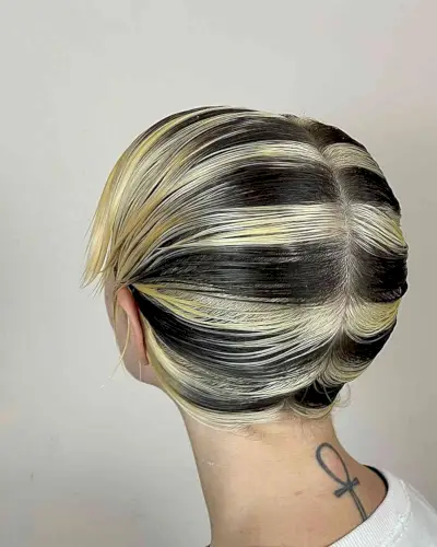 Black and Yellow Skunk Stripes on Sleek Pixie Hair