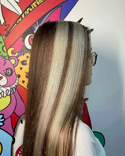 Brown Base with Skunk Striped Chunky Icy Highlights for Long Hair