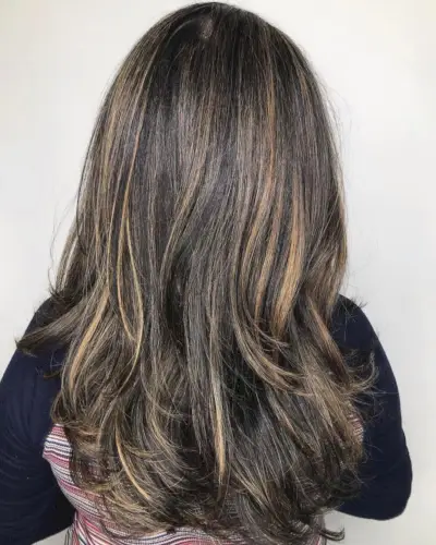 Bright full highlights on thick black tresses