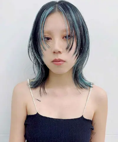 Curtain Hime Hairstyle