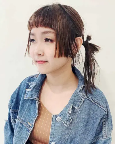 Hime Pigtails