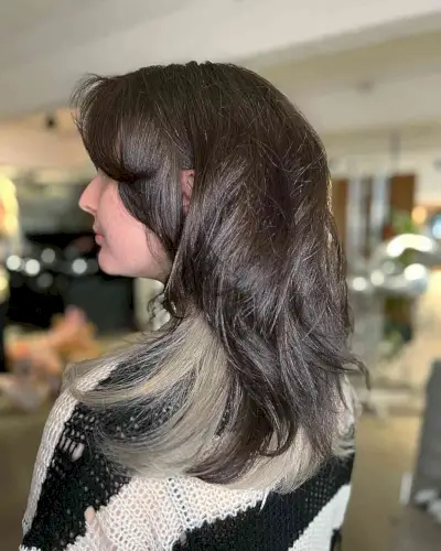 Medium-Length Hush Layered Dark Hair with Grey Underneath