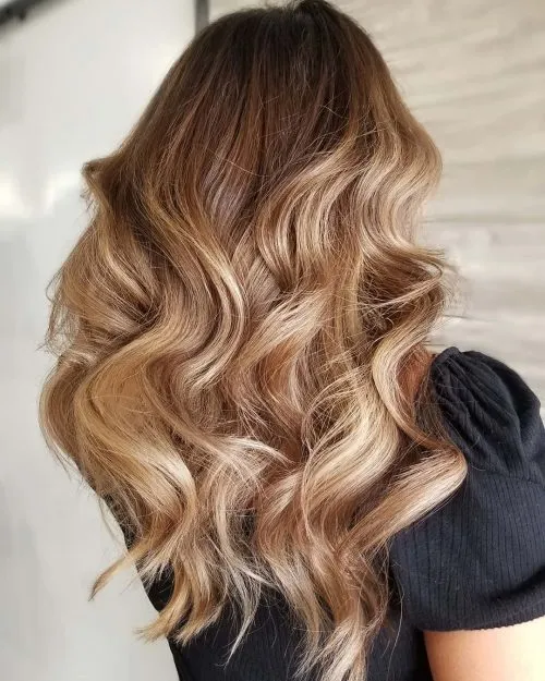 ハイバン' title=