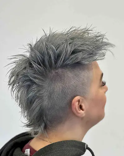 Alternative Dark Gray Spiky Mohawk