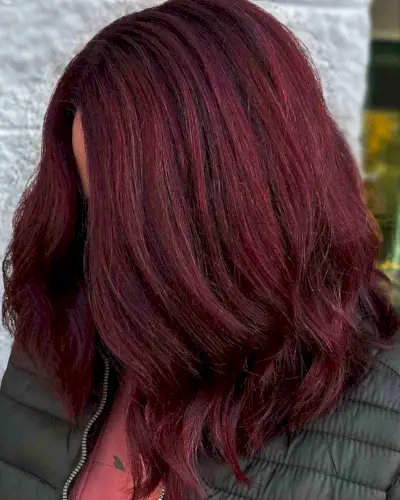Mulled Wine Hair Winter Hair Color