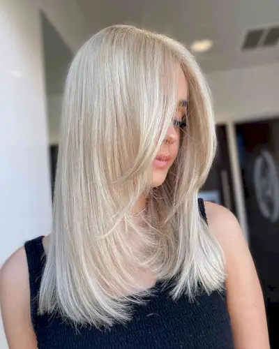 Summertime Sleek Face-Framing Haircut for Straight Hair