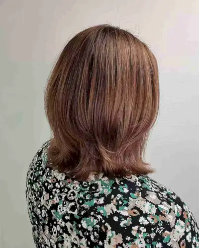 Medium Wolf Rachel Haircut