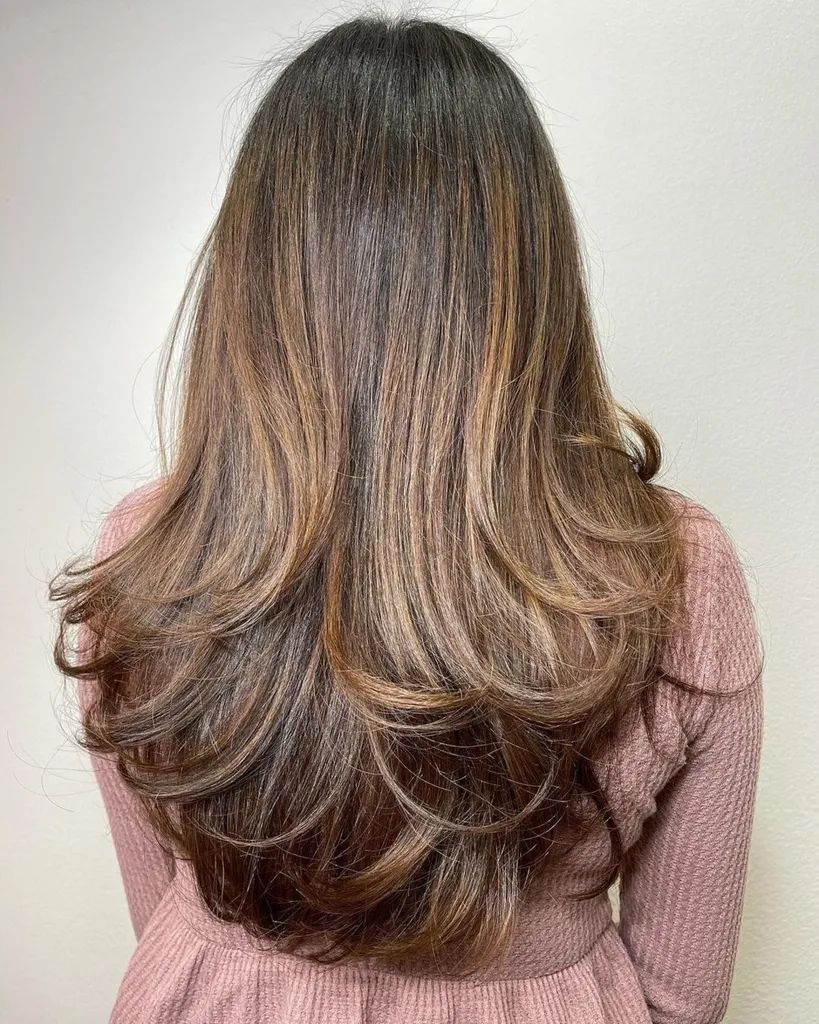 太い髪のための弾むような長いレイヤー' title=