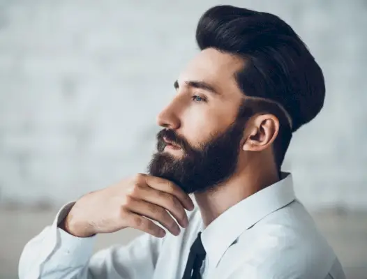 Klassieke Pompadour volle baard