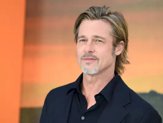 브래드 피트 수염