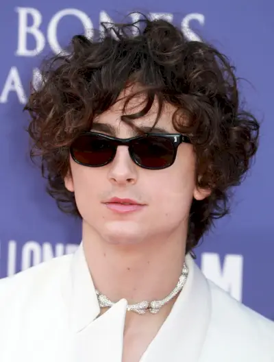 Timothée Chalamet cheveux bouclés