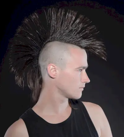 Fan Mohawk