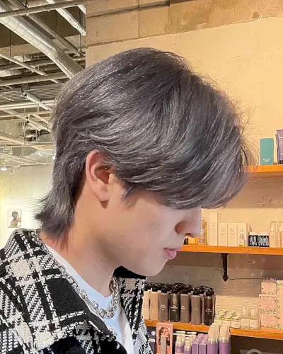 Kpop-Style Middle Part Wolf Silver Hair for Young Men