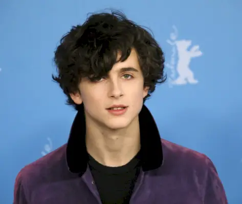 Timothée Chalamet 2017 kodri