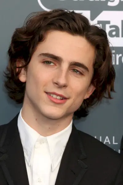 Timothée Chalamet Hair Rozcuchané vlny 2018