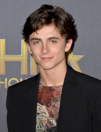 Timothée Chalamet krátké vlasy po stranách 2018