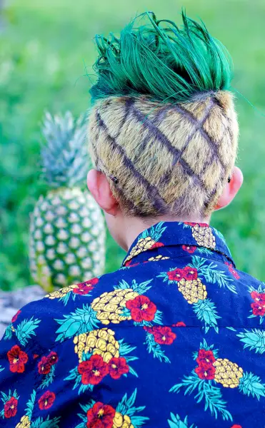 מכוון לפרטים, Hansel34