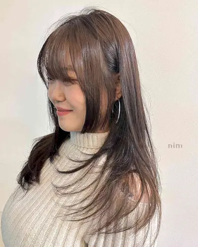 Mid-Long Straight Layered Hush Cut for Dark Brown Thin Hair