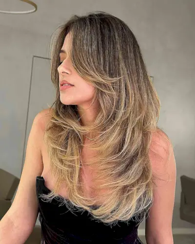 Long Hair with Visible Layers