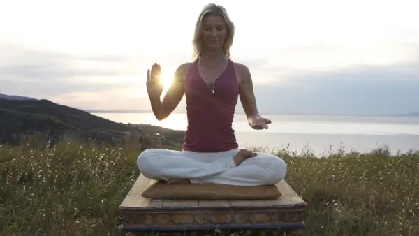 Wywiad SV: Viva Shiva!