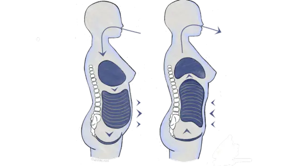 7 každodenních návyků, které by mohly být sabotováním vašeho zdraví pánevního dna