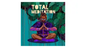 5 opnamekunstenaars die je niet wist, maakten meditatiealbums gemaakt