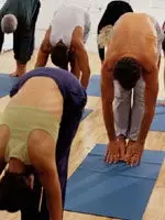 Den forbipasserende gassen