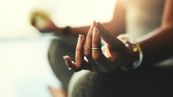 Diretório de empresas e organizações de propriedade de bipoc de propriedade bipoc