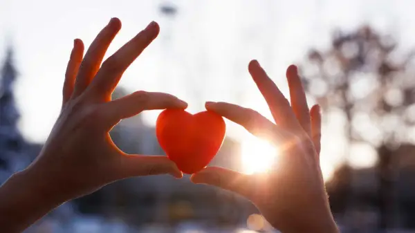 person holding up heart with sunlight