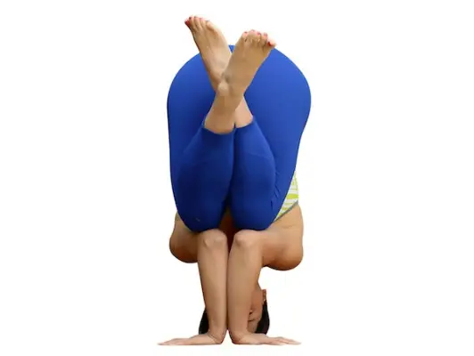 Masumi Goldman Tripod Egg Variation