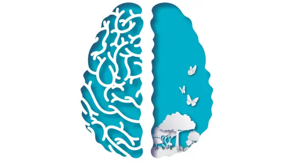 Rencontrez votre nerf de bien-être