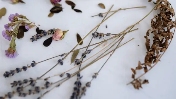 Et blomsterbadritual til den nye måne (eller når livet overvælder dig)