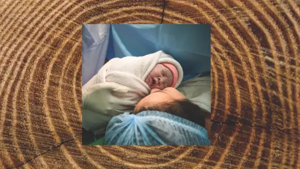 Rings of a Tree and a Newborn Baby