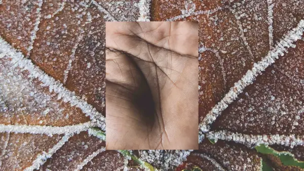 Leaf and the Palm of a Hand