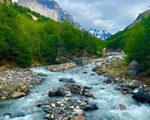 Rocky streams flow through the green forests with Patagonian mountains in the background.