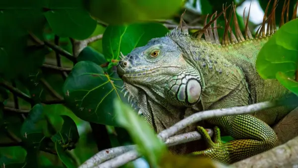 Acesta este cel mai sălbatic lucru pe care l -am văzut vreodată într -o clasă de yoga