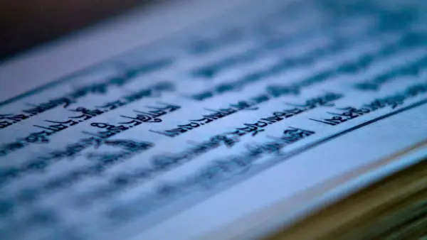 Den siste trenden er ... å lære sanskrit?