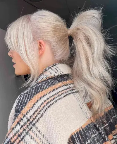 Easy ponytail long hairstyles