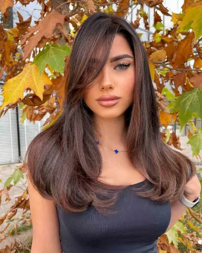 Amazing Long Brunette Straight Hair with Side Bangs