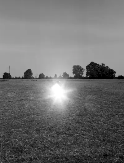 フェルナンド リンデス 2019 H マガジン 021