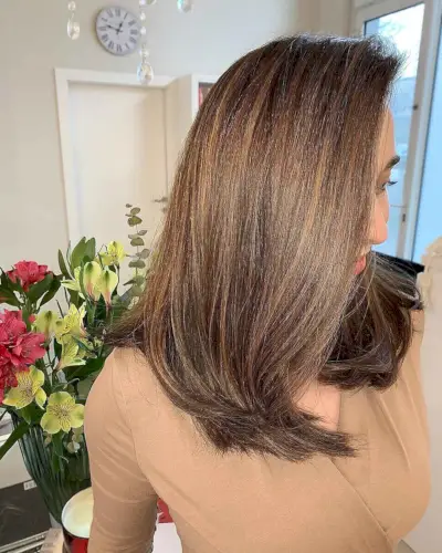 Brown Balayage on Medium-Length Straight Hair