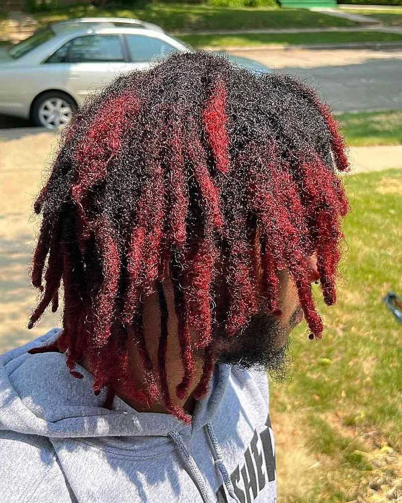 Locs negros de forma libre con reflejos rojos en hombres con cabello rizado' title=